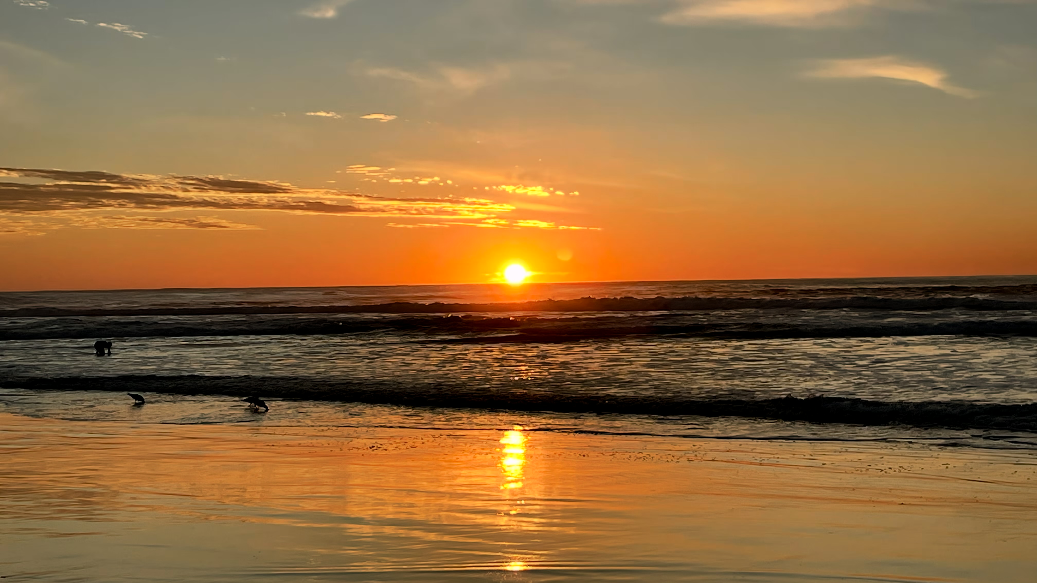 Sunset on the beach. Nov 26, 2023. San Francisco, CA